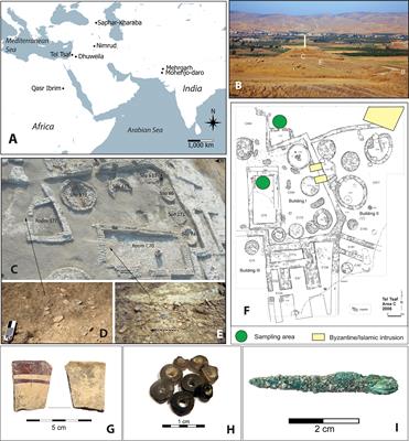 The earliest cotton fibers and Pan-regional contacts in the Near East